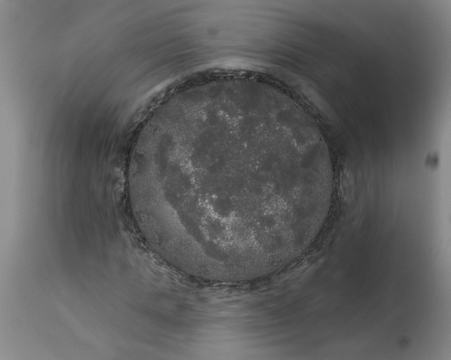 X0000113550821200910021528