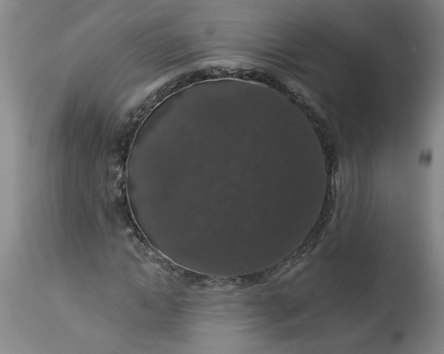 X0000113550822200910021528