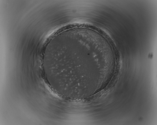 X0000113550823200910021528