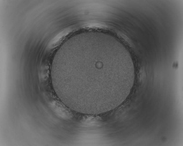 X0000113550824200910021528