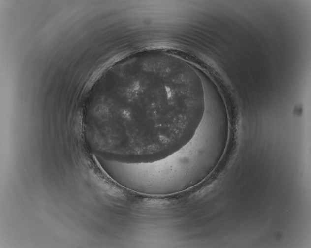 X0000113550825200910021528