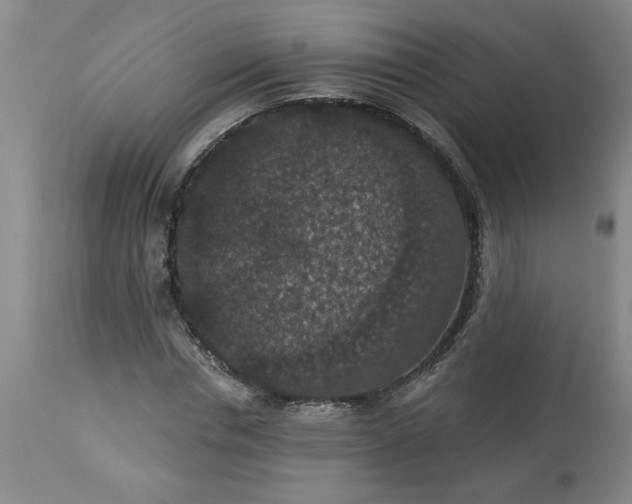 X0000113550826200910021528