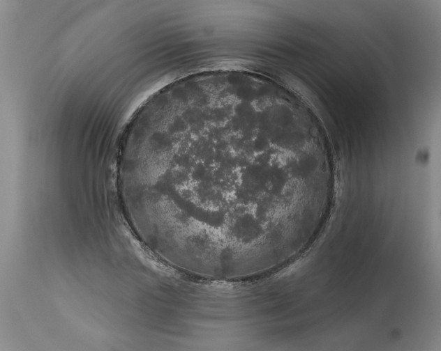 X0000113550827200910021528