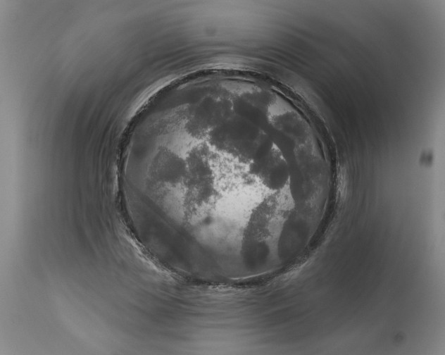 X0000113550829200910021528