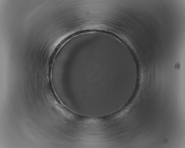 X0000113550830200910021528