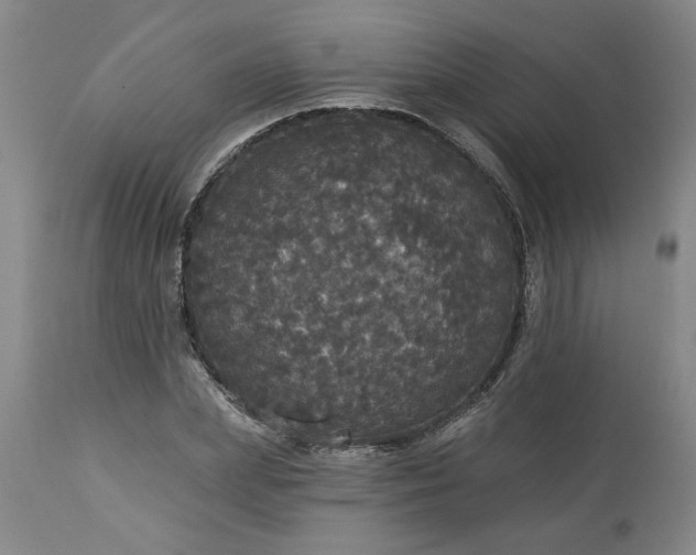 X0000113550831200910021528