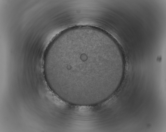 X0000113550832200910021528