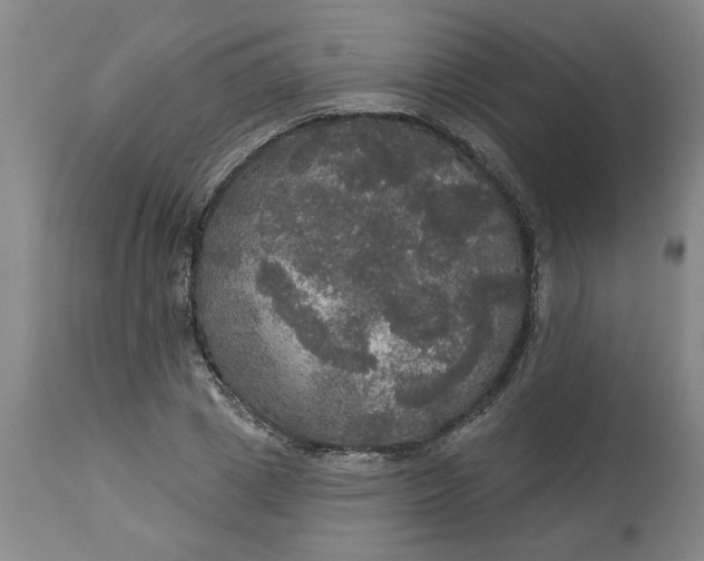 X0000113550833200910021528