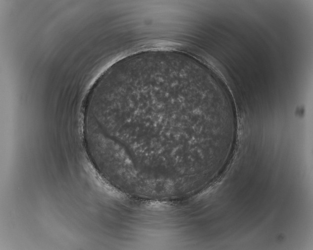 X0000113550835200910021528