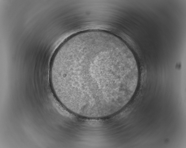 X0000113550836200910021528