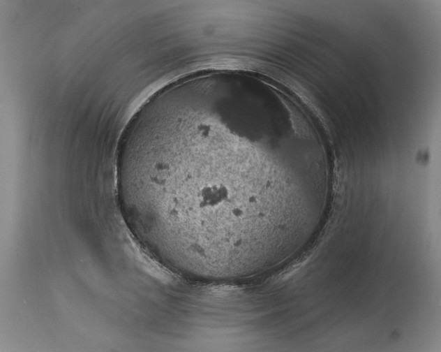 X0000113550837200910021528