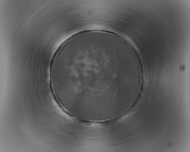 X0000113550839200910021528