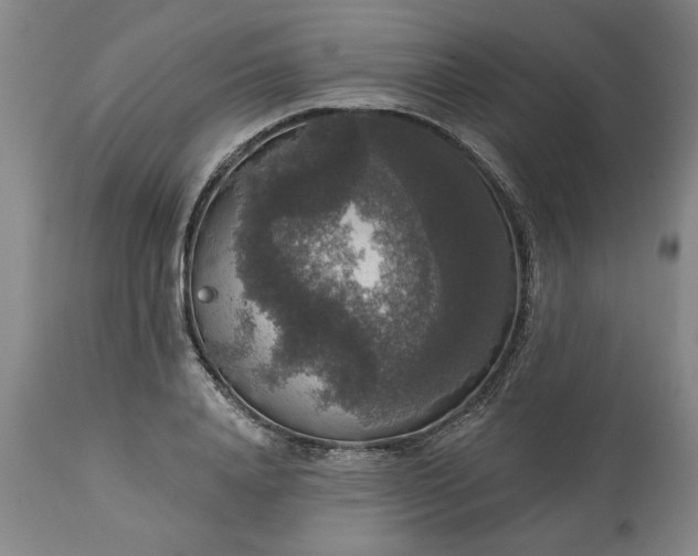 X0000113550840200910021528