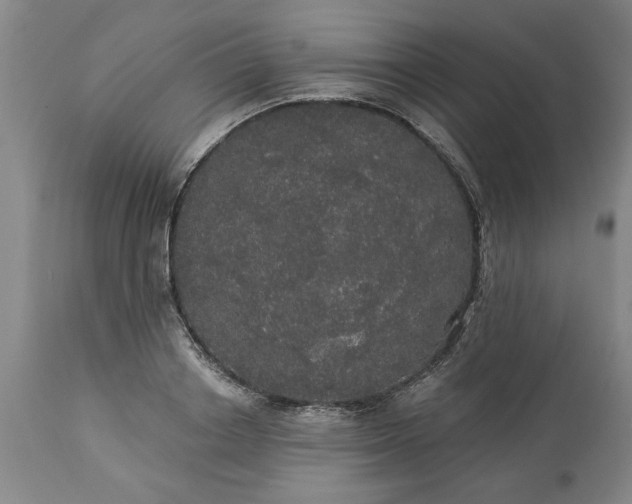 X0000113550842200910021528