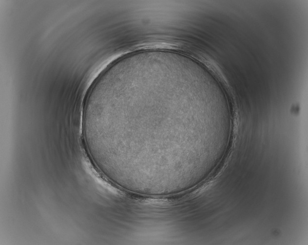 X0000113550844200910021528