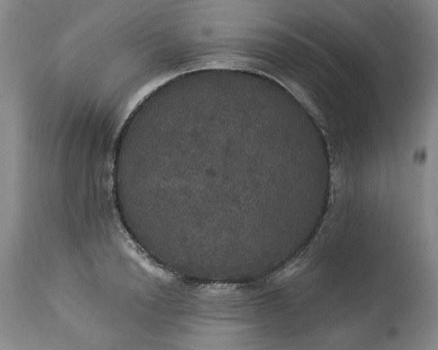 X0000113550846200910021528