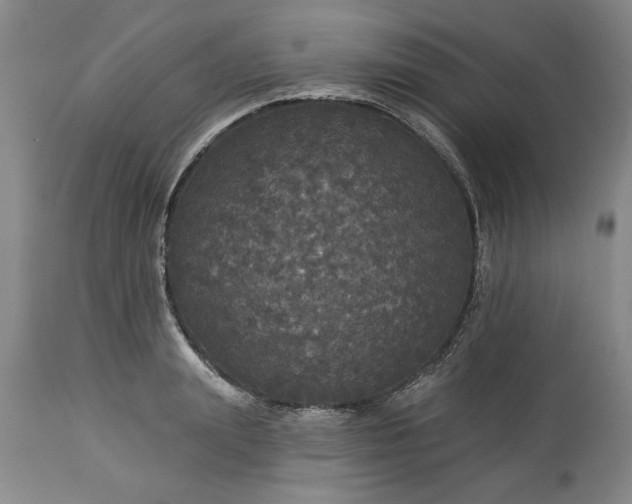 X0000113550847200910021528