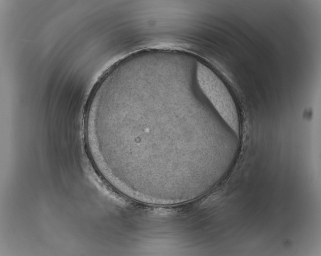 X0000113550848200910021528