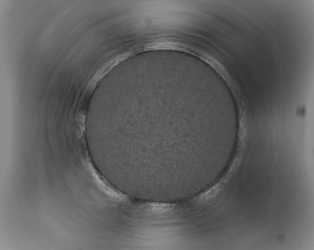 X0000113550849200910021528