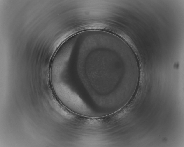 X0000113550850200910021528