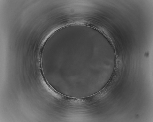 X0000113550851200910021528