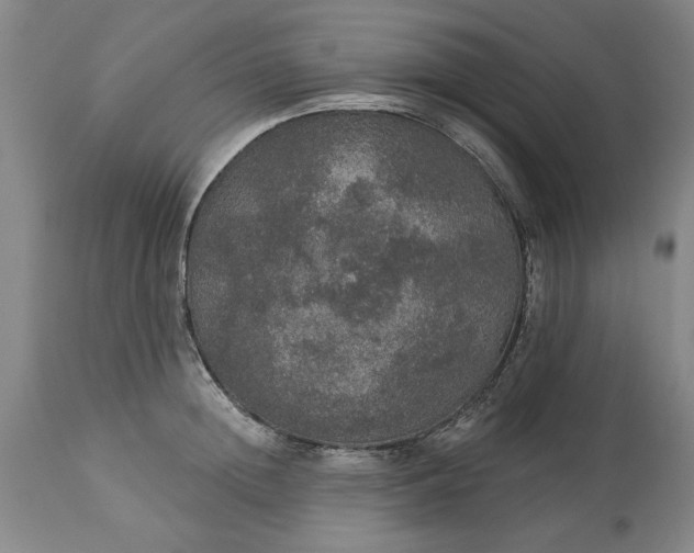 X0000113550852200910021528