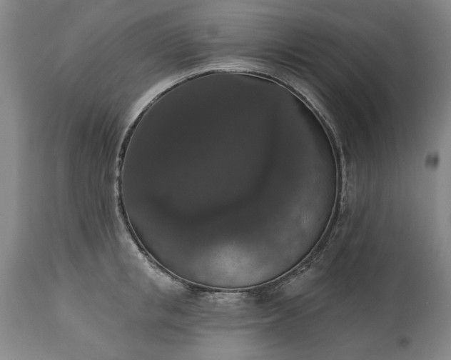 X0000113550853200910021528