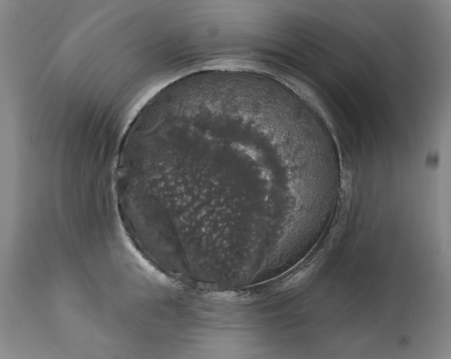 X0000113550855200910021528