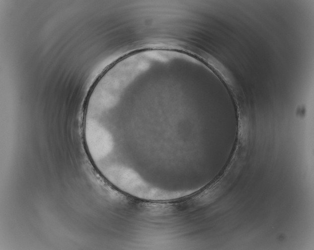 X0000113550856200910021528