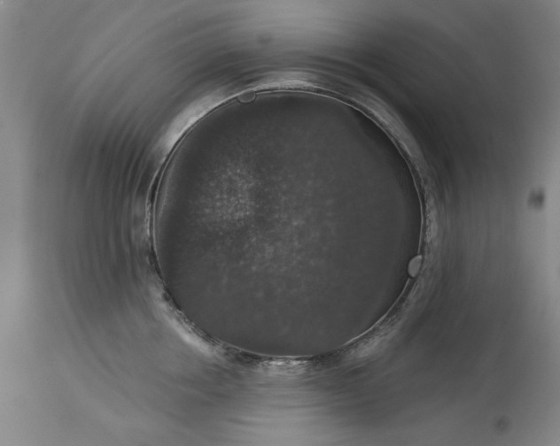 X0000113550858200910021528