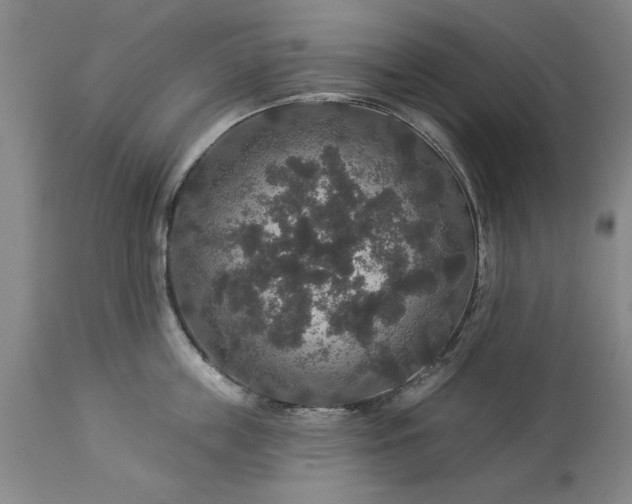 X0000113550859200910021528