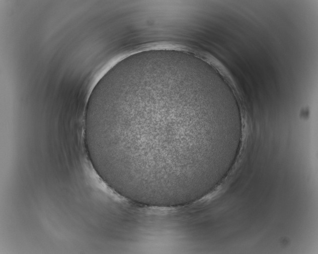 X0000113550860200910021528