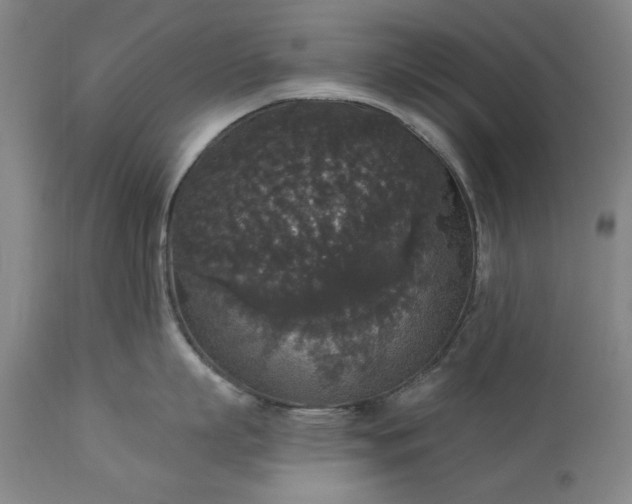 X0000113550863200910021529