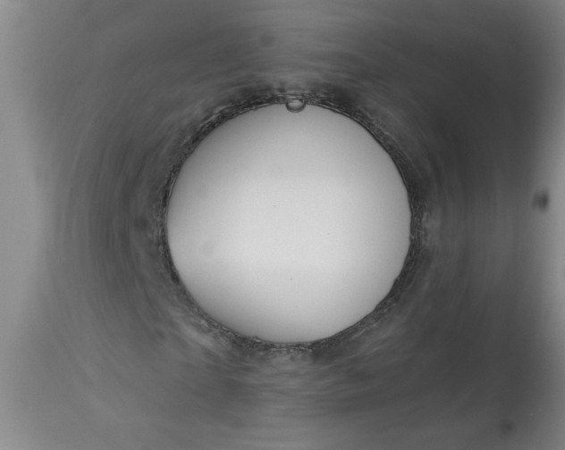 X0000113550865200910021528