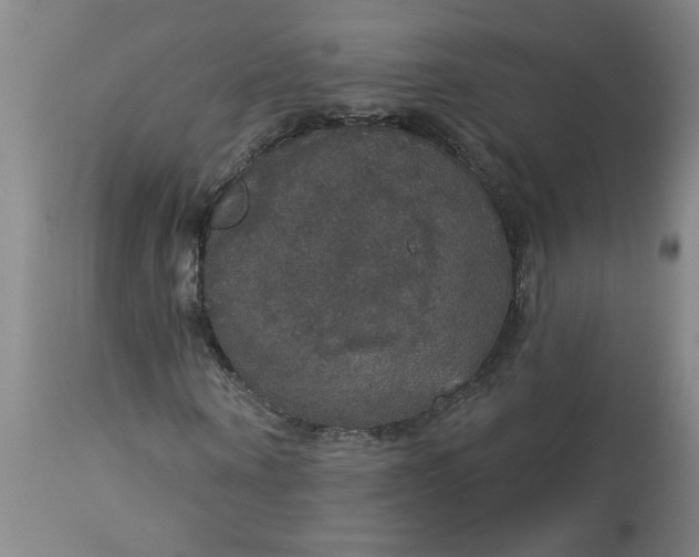 X0000113550866200910021528