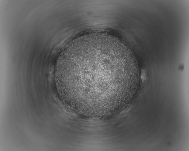 X0000113550867200910021528