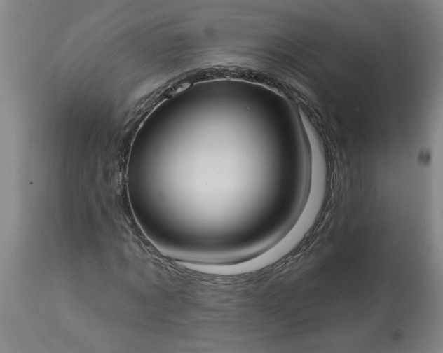 X0000113550869200910021528