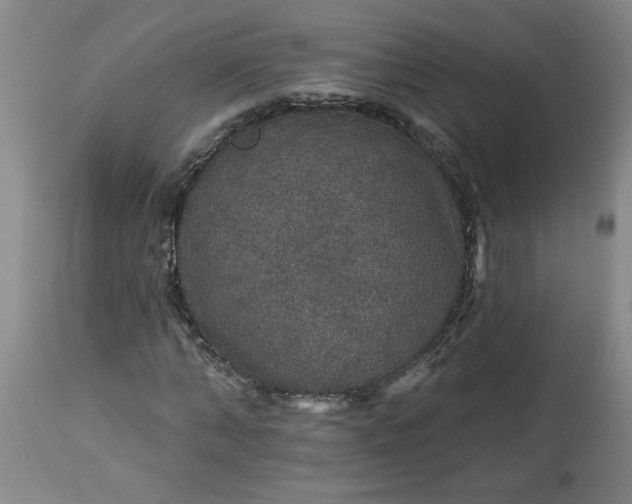 X0000113550870200910021528