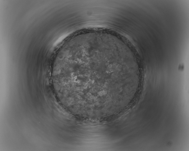 X0000113550871200910021528