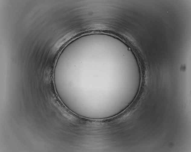 X0000113550873200910021528