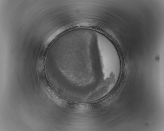 X0000113550874200910021528