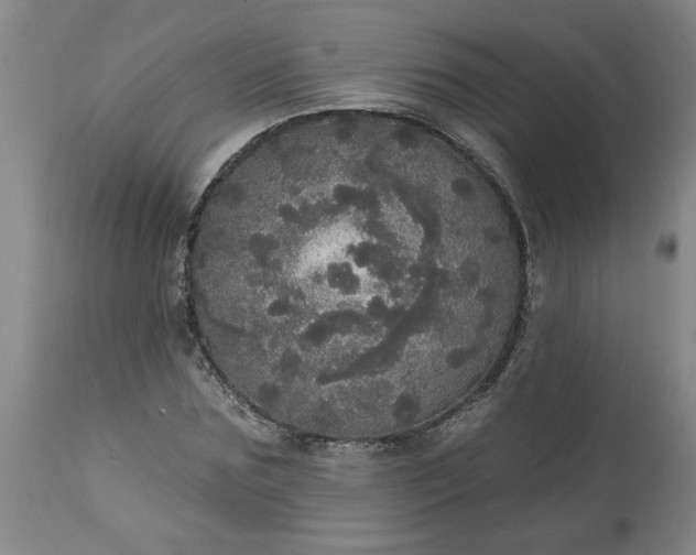 X0000113550875200910021528