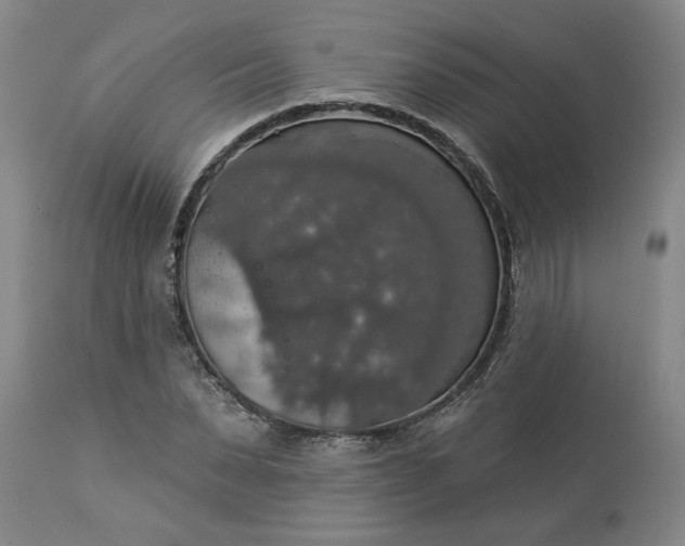 X0000113550879200910021528