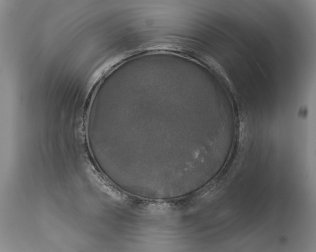 X0000113550882200910021528