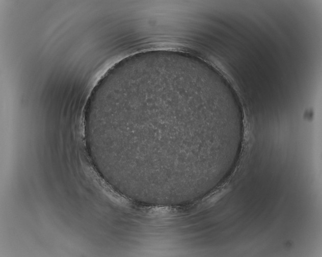 X0000113550883200910021528