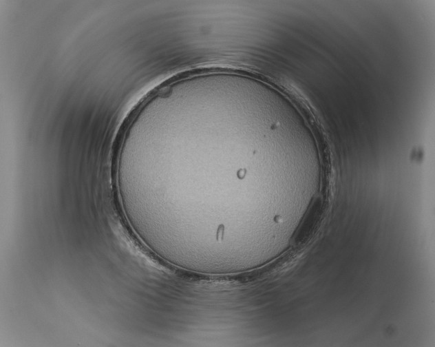 X0000113550884200910021528