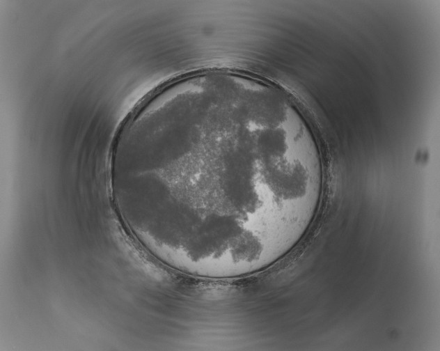 X0000113550886200910021527