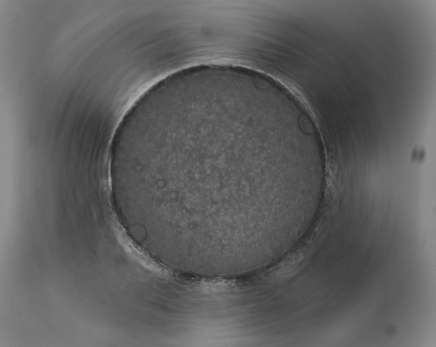 X0000113550887200910021527