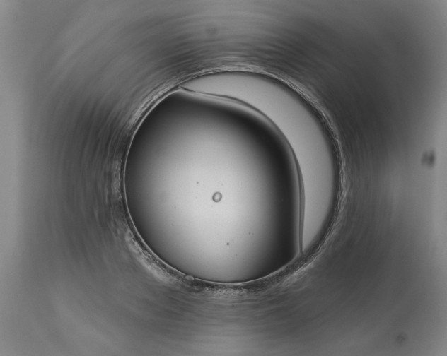 X0000113550889200910021527