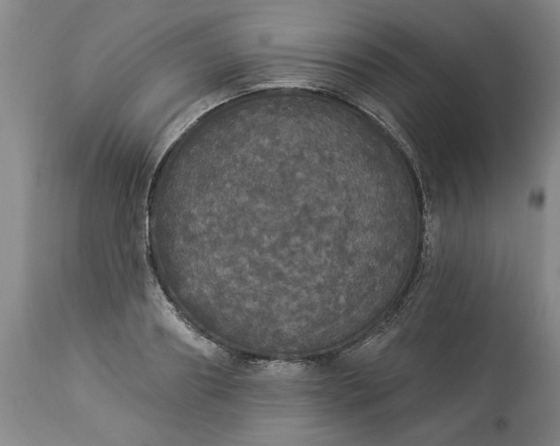 X0000113550890200910021527